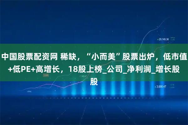 中国股票配资网 稀缺，“小而美”股票出炉，低市值+低PE+高增长，18股上榜_公司_净利润_增长股