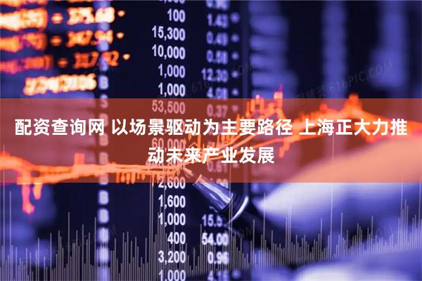 配资查询网 以场景驱动为主要路径 上海正大力推动未来产业发展